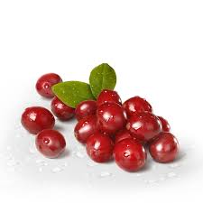 antioksidansi iz brusnice