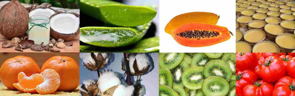 Beaute Du Paradis aktivni sastojci